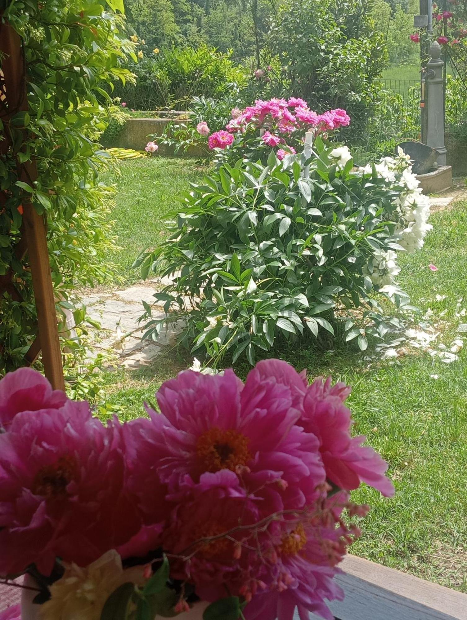 B&B Cascina Ciapilau Asti Exterior photo